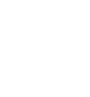 Wolne Miasto Logo